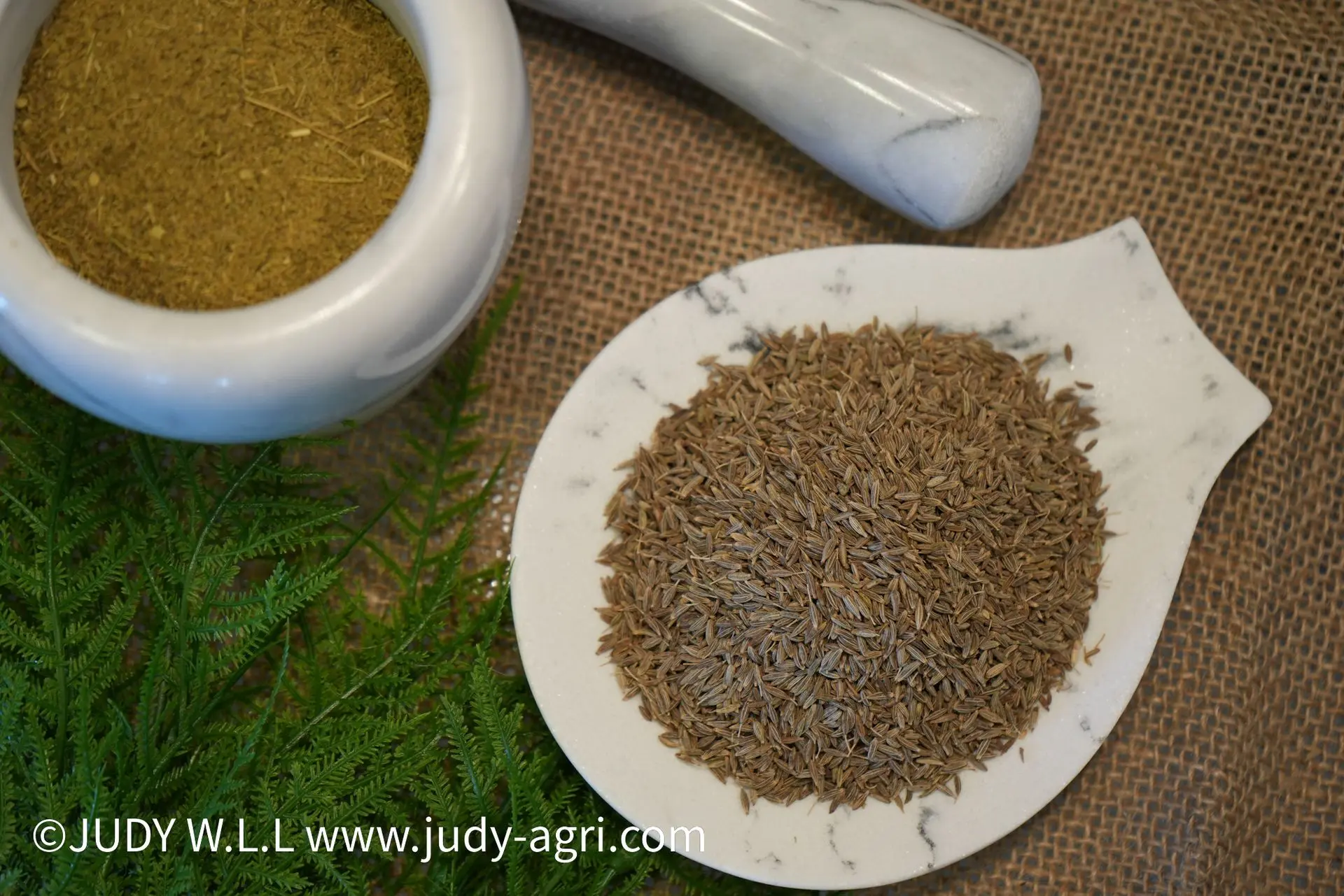 Cumin